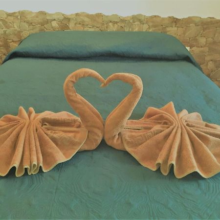 Beautiful Coastline Bungalow Near The Ocean 50 M Apartment Costa De Antigua Luaran gambar