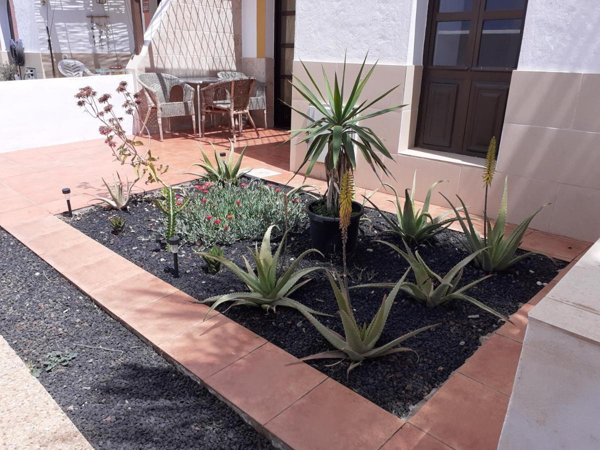 Beautiful Coastline Bungalow Near The Ocean 50 M Apartment Costa De Antigua Luaran gambar