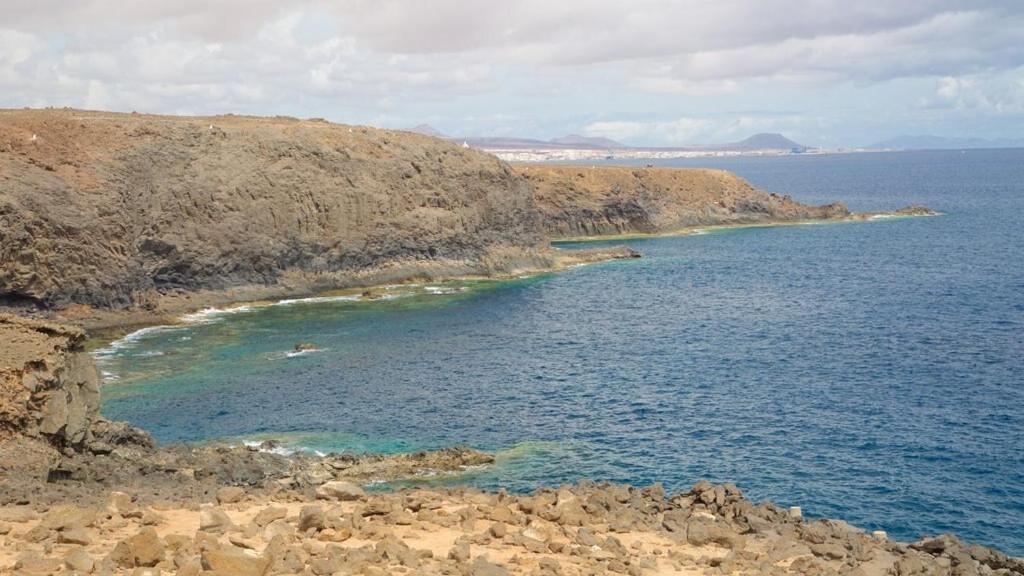 Beautiful Coastline Bungalow Near The Ocean 50 M Apartment Costa De Antigua Luaran gambar
